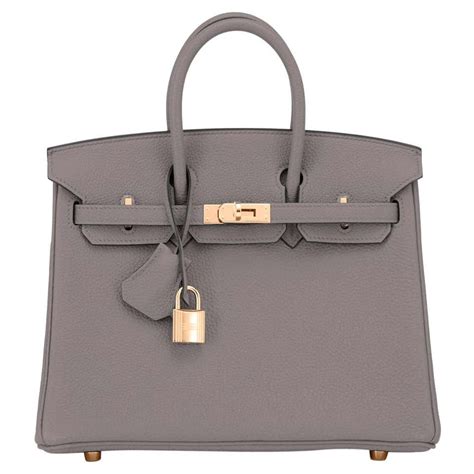 hermes birkin 25 etain rose gold|birkin 25 to go leather.